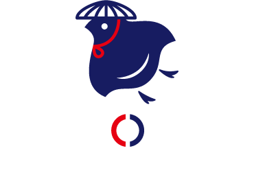 KYOTO ENCOUNTERS